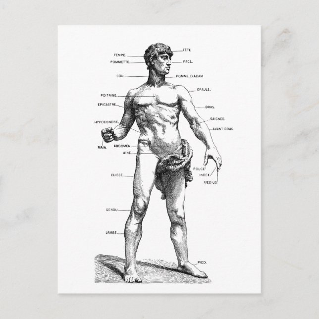 Carte Postale front masculin (Devant)