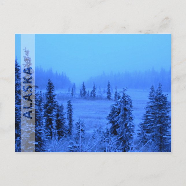 Carte Postale Frontière pour votre photo de vacances en Alaska (Devant)