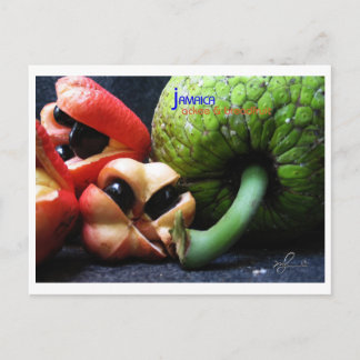Carte Postale Fruit ackee jamaïcain et pain