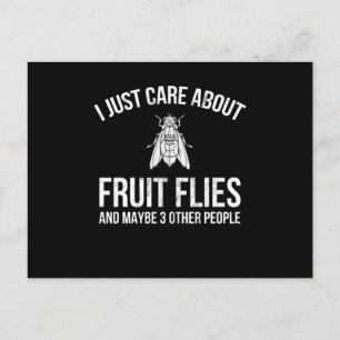 Carte Postale Fruit Mouches Design Je Me Soucie Juste De Fruit M