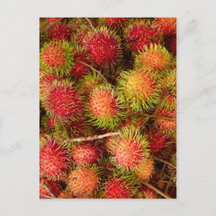 Carte Postale Fruit Rambutan au marché Can Duoc