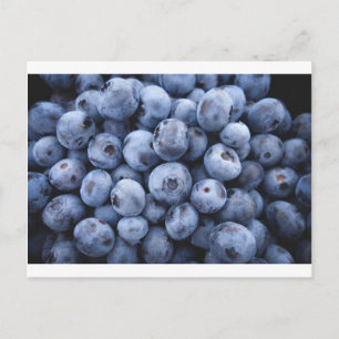 Carte Postale Fruits Blueberries snack baies de fruits