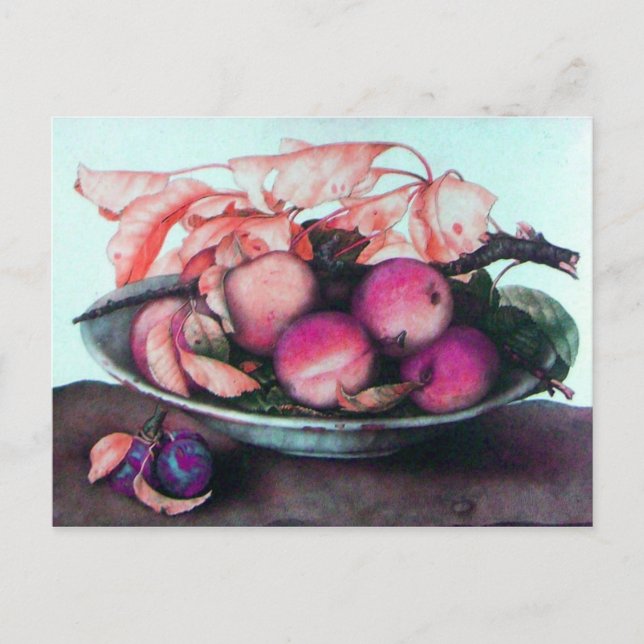 CARTE POSTALE FRUITS DE SAISON 2 (Devant)