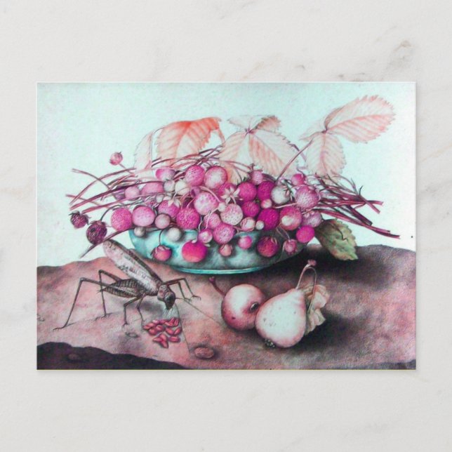 CARTE POSTALE FRUITS DE SAISON 3 (Devant)