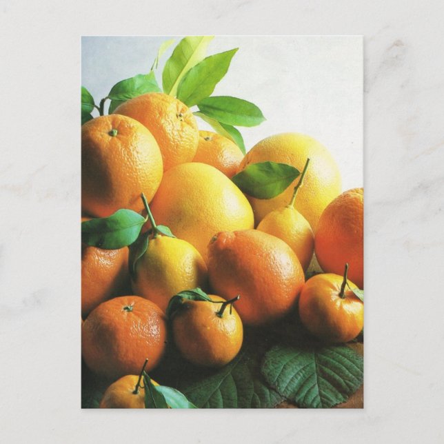 Carte Postale Fruits et vegetables, oranges et lemons (Devant)