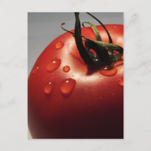 CARTE POSTALE FRUITS FRAIS DE TOMATE ROUGE LÉGUMES SAINS YUMMY
