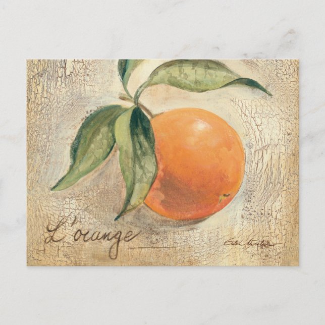 Carte Postale Fruits ronds et orange (Devant)