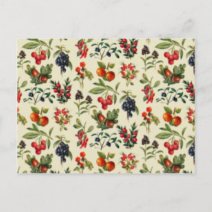 Carte Postale Fruits Sauvages De La Campagne