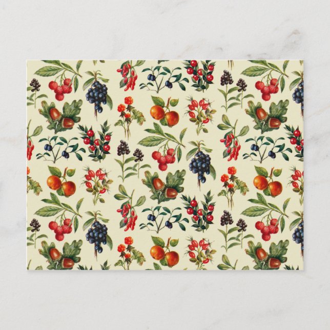 Carte Postale Fruits Sauvages De La Campagne (Devant)