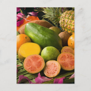 Carte Postale Fruits tropicaux