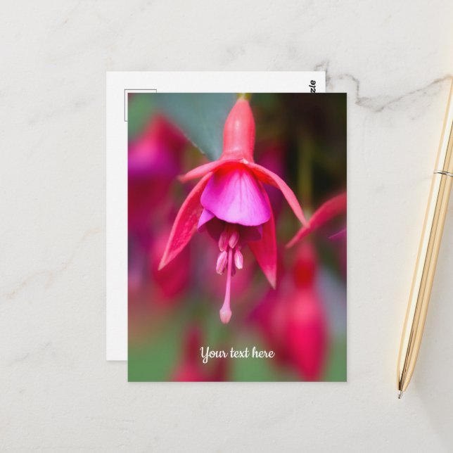 Carte postale Fuchsia rose et violet (Devant/Arrière en situation)