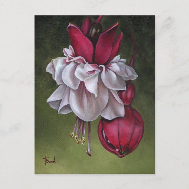 Carte Postale Fuchsias (Devant)