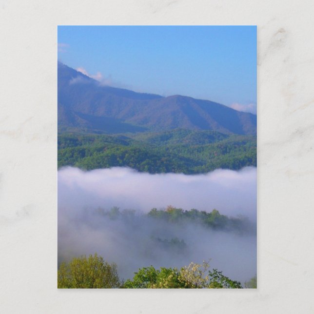 Carte Postale Fumée (Devant)