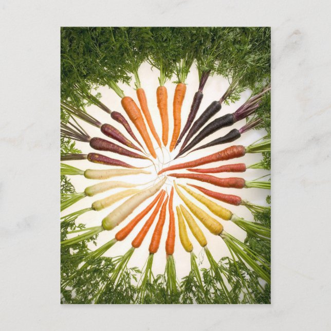 Carte Postale Fun Colorful Carrots (Devant)