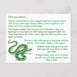 Carte Postale Fun & Intéressant Snake Faits