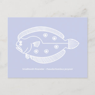 Carte Postale Fun poisson de fond en blanc sur violet clair