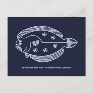 Carte Postale Fun Poisson Fun Flounder dans le violet clair sur