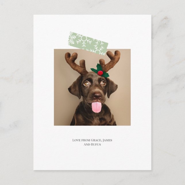 Carte Postale Fun Snowflake Photo de Noël (carte postale de reto (Devant)