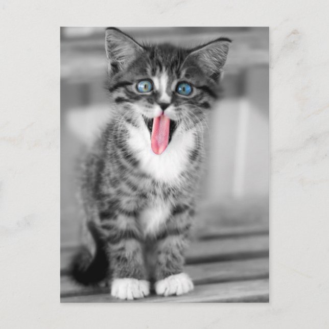 Carte Postale Funny (Devant)