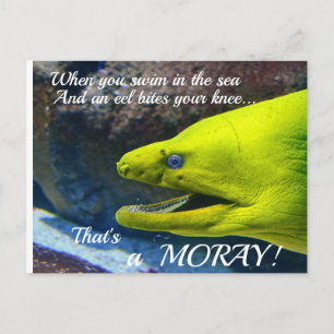 Carte Postale Funny Amore (un Moray) Valentine