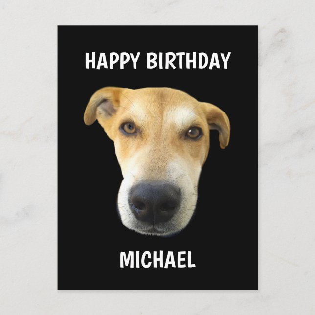Carte Postale Funny Anniversaire Chien Chien Chien Visage Person (Devant)