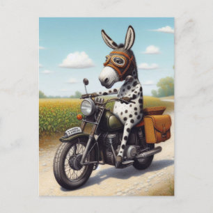 Carte Postale Funny Appaloosa Mule sur une moto