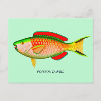 Carte Postale Funny April Fools Day Postcard - lire retour de la