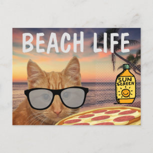 CARTE POSTALE FUNNY CAT BEACH LIFE
