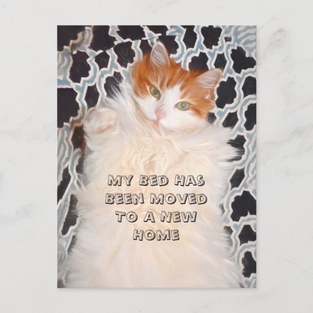 Carte Postale Funny Cat Cute Moving Nouvelle adresse (Devant)