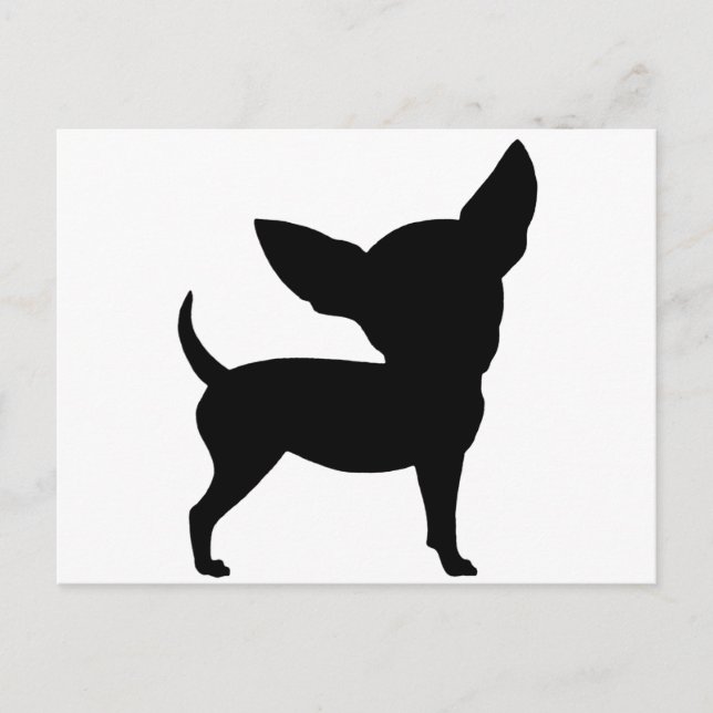 Carte Postale Funny Chihuahua (Devant)
