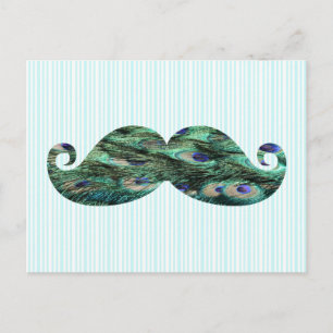 Carte Postale Funny Colorful Peacock Plumes Moustache