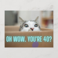 Funny Curious Chat 40e anniversaire
