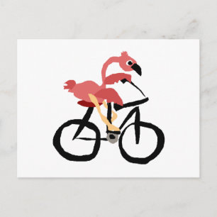 Carte Postale Funny Flamant rose rose oiseau sur vélo