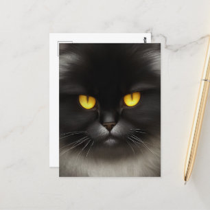 Carte Postale Funny Fluffeux noir Perse noir chaton visage