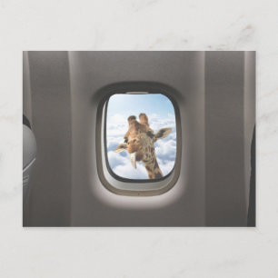 Carte Postale Funny Giraffe