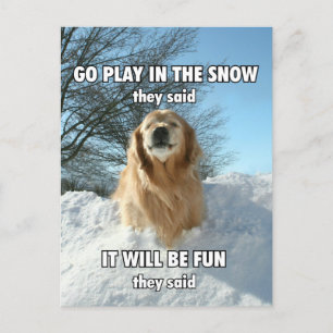 Carte Postale Funny Golden Retriever Go Play in the Snow Meme