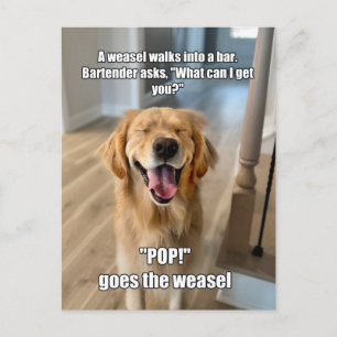Carte Postale Funny Golden Retriever Weasel Bartender Joke Mème