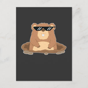 Carte Postale Funny Groundhog avec lunettes de soleil Humour