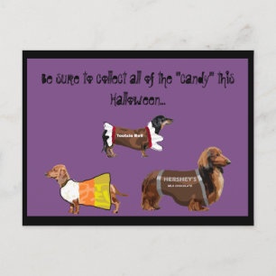 Carte Postale Funny Halloween Recueillir des bonbons Chiens