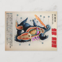 Funny Japonais Kaiju anatomie diagramme