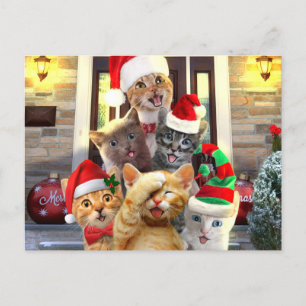 Carte Postale Funny kittens
