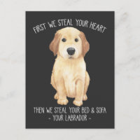 Funny Labrador Retriever Amoureux des chiens Stubb