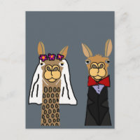 Funny Llama Mariée et Mariage de chambre