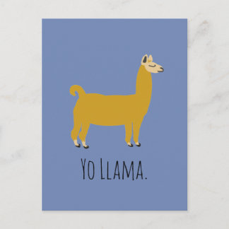 Carte postale Funny Llama Pun