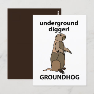Carte Postale Funny Pet Groundhog