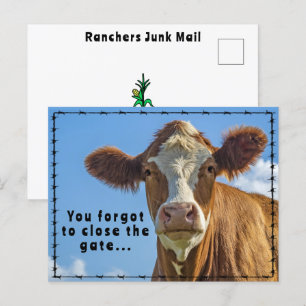Carte Postale Funny Ranchers Junk Mail Pays Western Tales