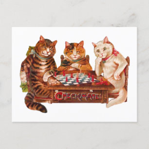 Carte Postale Funny Retro Cats Checkmate Jouer aux échecs 1903