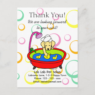 Carte Postale Funny Yellow Lab Cartoon salon pour animaux de com