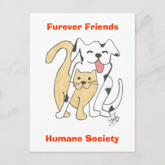 Carte postale Furever Friends Humane Society