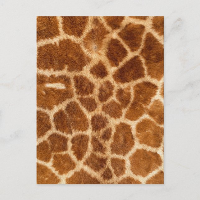 Carte Postale Fuzzy Giraffe Motif de fourrure (Devant)